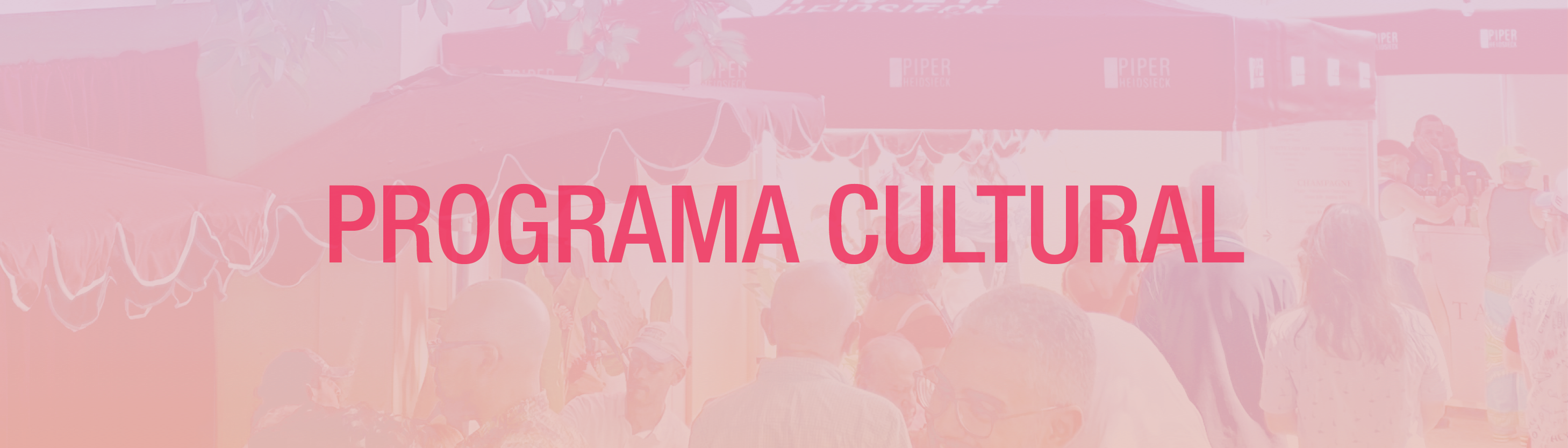Banner Programa Cultural
